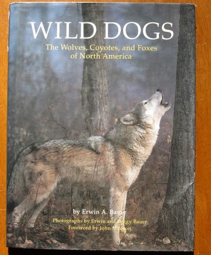 Wild Dogs: The Wolves, Coyotes, and Foxes of North America by Bauer, Erwin A., A