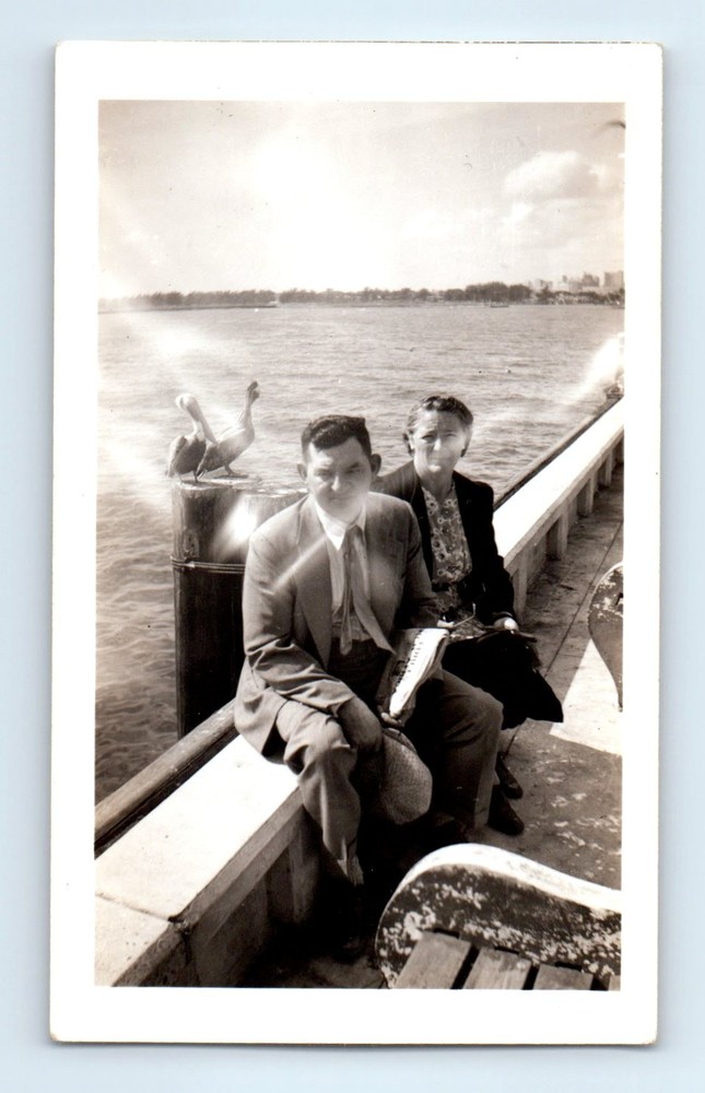 Old Vintage Photo MAN WOMAN PELICAN ABSTRACT GHOST LIGHT ST PETERSBURG