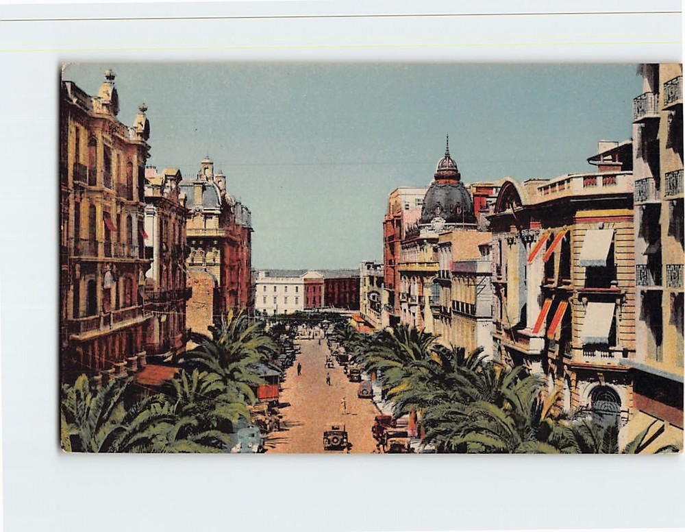 Postcard Gallieni Boulevard Oran Algeria