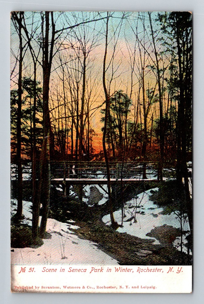 Rochester, NY-New York, Seneca Park Winter Bridge Snow Scene Vintage Postcard