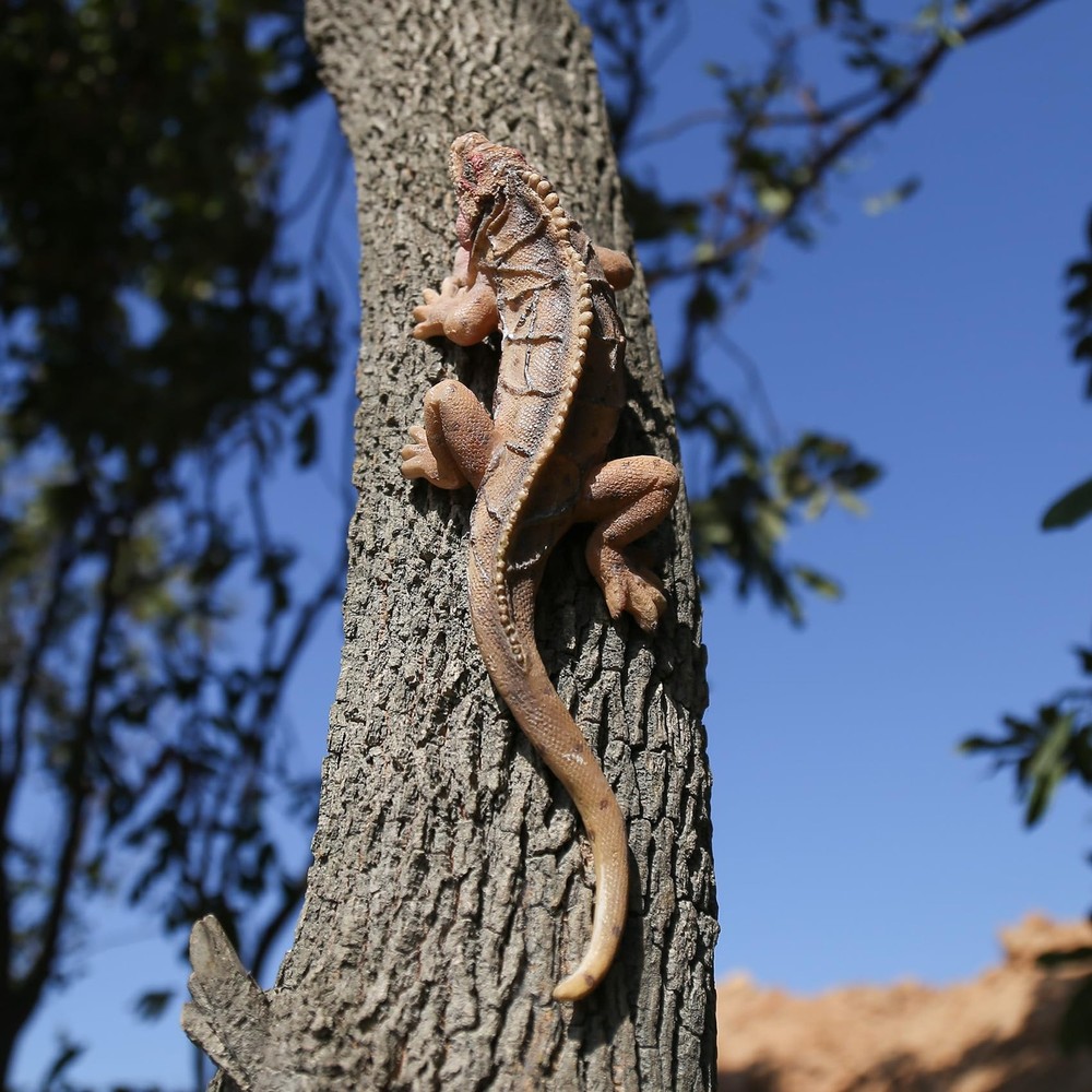 Outdoor Lizard Statue Sculpture Garden Patio Porch Tree Wall Wall Hanging Art...