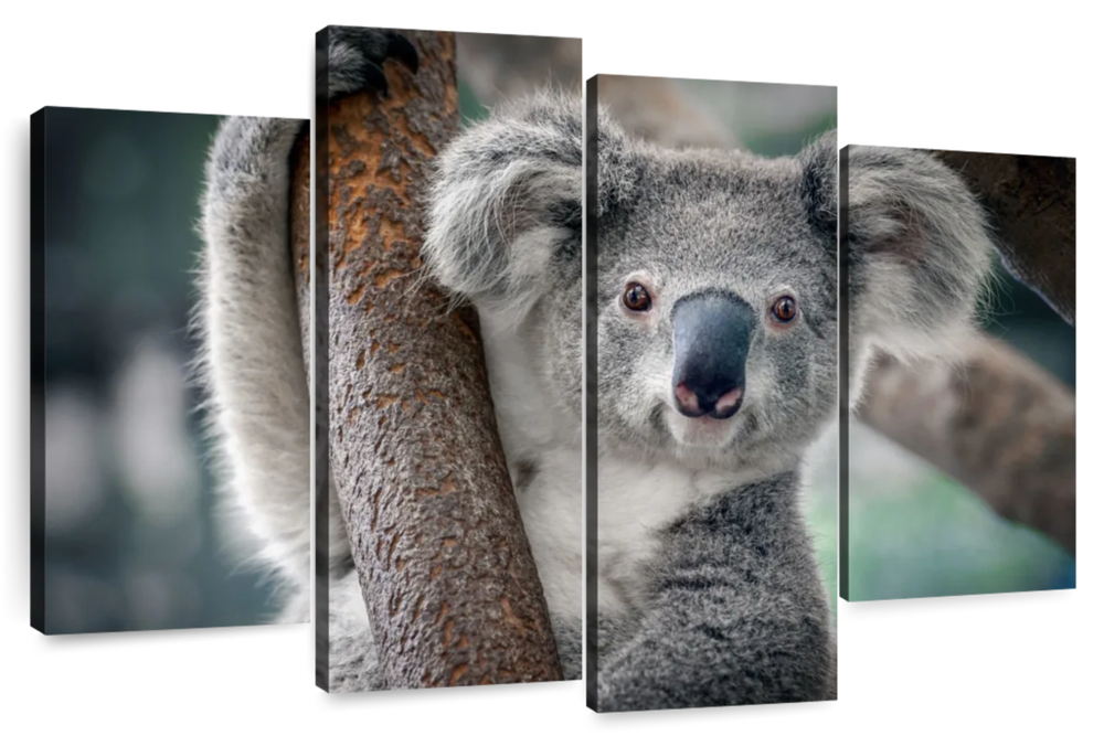 Happy Koala Wall Art