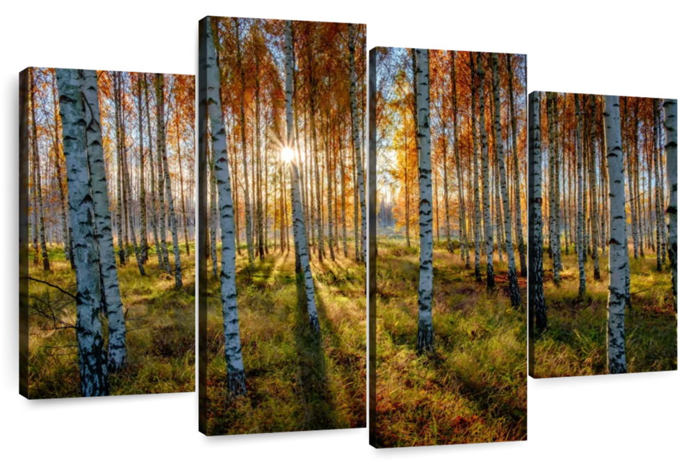 Swedish Birch Forest Wall Art
