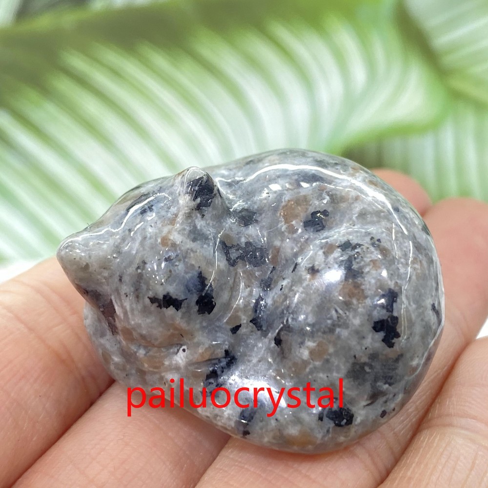 1pc Natural Yooperite Cat Skull Quartz Crystal Skull Carved Figurines Gem 1.5