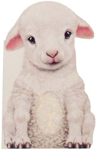 Furry Lamb by Annie Auerbach: Used