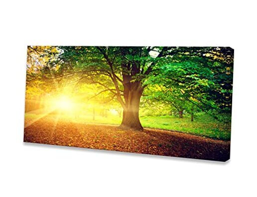 Baisuwallart S06162 Wall Art Decor Canvas Print 24.00