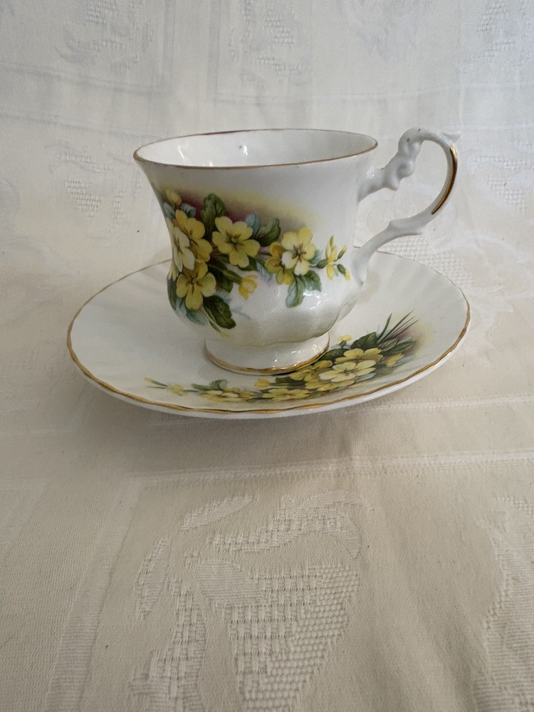 Vintage Royal Dover Fine Bone China Tea Cup & Saucer Set