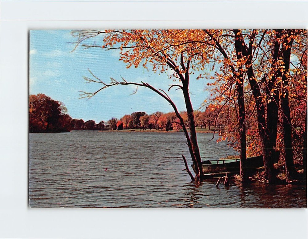Postcard Trees Boat Lake Nature Landscape Scenery