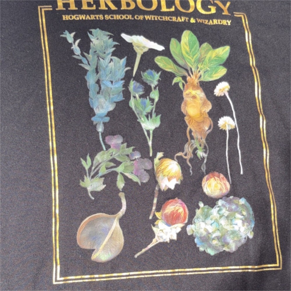 Harry Potter Herbology Mandrake Graphic Print Black Cotton L Crew Neck T-Shirt