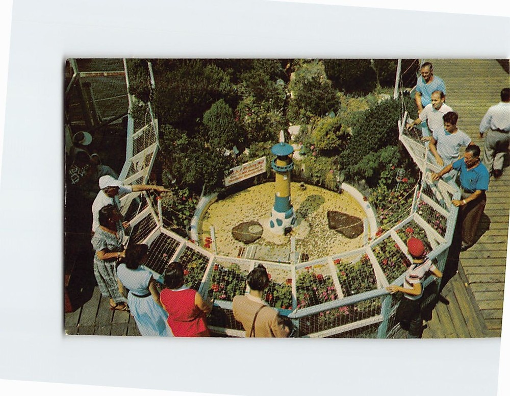 Postcard Wishing Well at Captain Starn Pier Atlantic City New Jersey USA