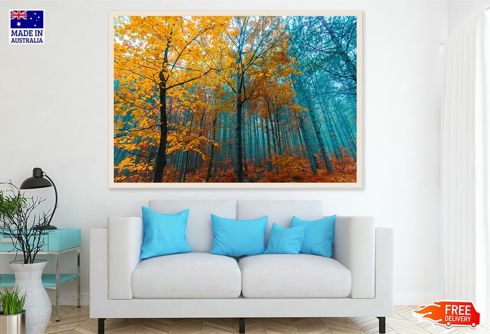 (Laminated) Colorful Misty Forest Photograph 91x61cm