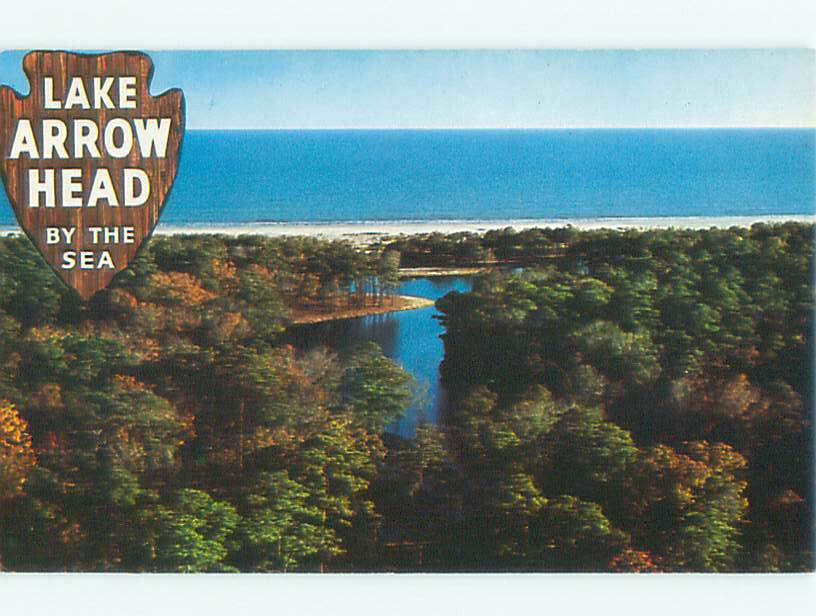 Pre-1980 LAKE ARROWHEAD Myrtle Beach South Carolina SC 11/8 AE3718
