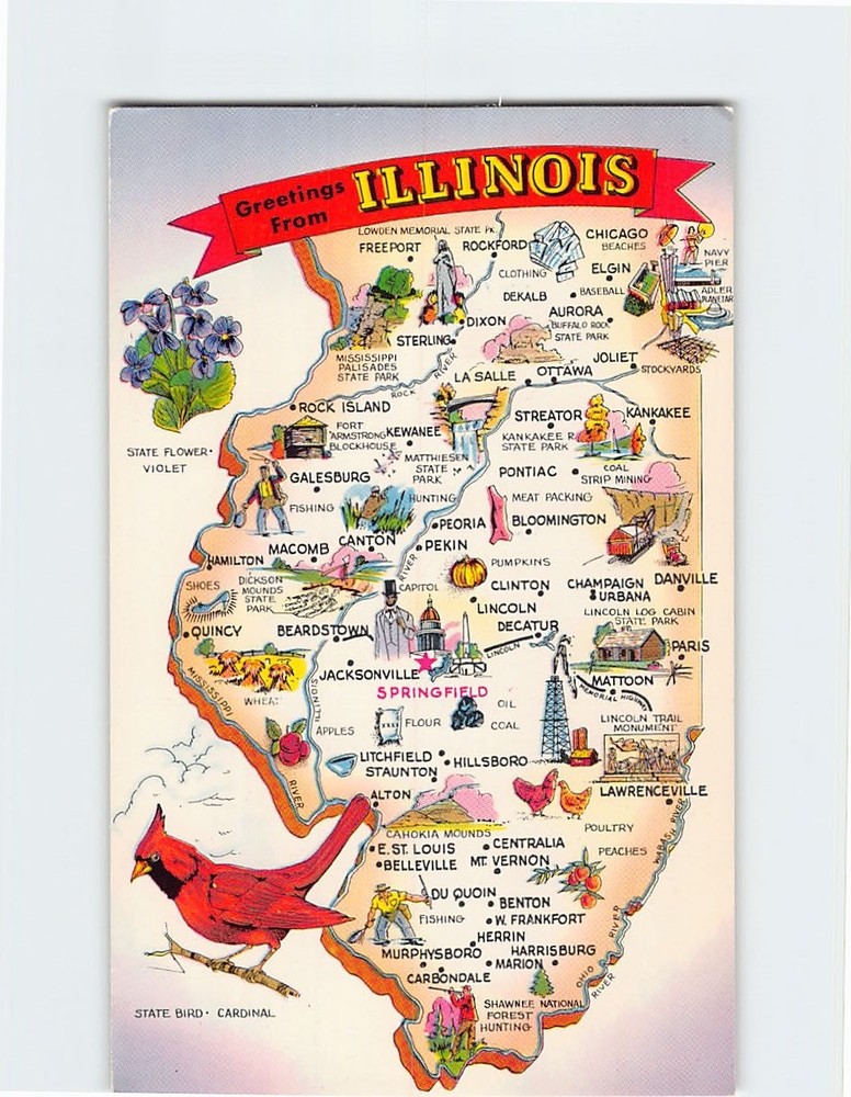 Postcard Greetings from Illinois USA
