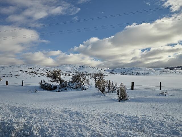 Dallas Ouray County Colorado 2010s Snowy High-Country Meadow Landscape