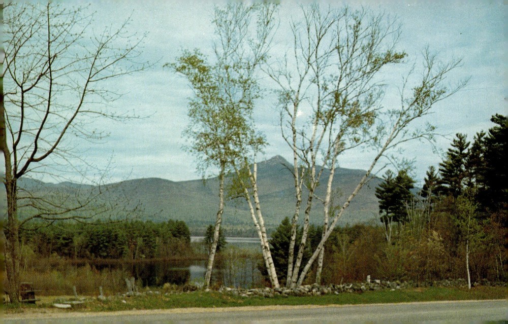 1950s Mt. Chocorua Lake White Mountains New Hampshire Tichnor Chrome Postcard