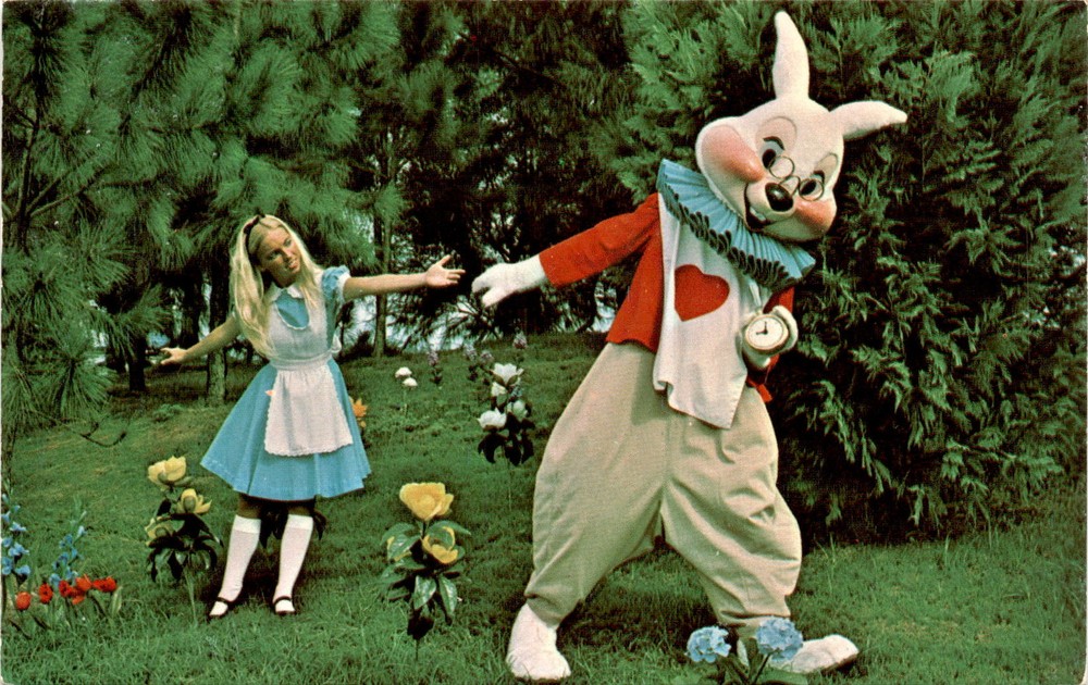 Walt Disney World, Vacation Kingdom, White Rabbit, Alice, Magic Postcard