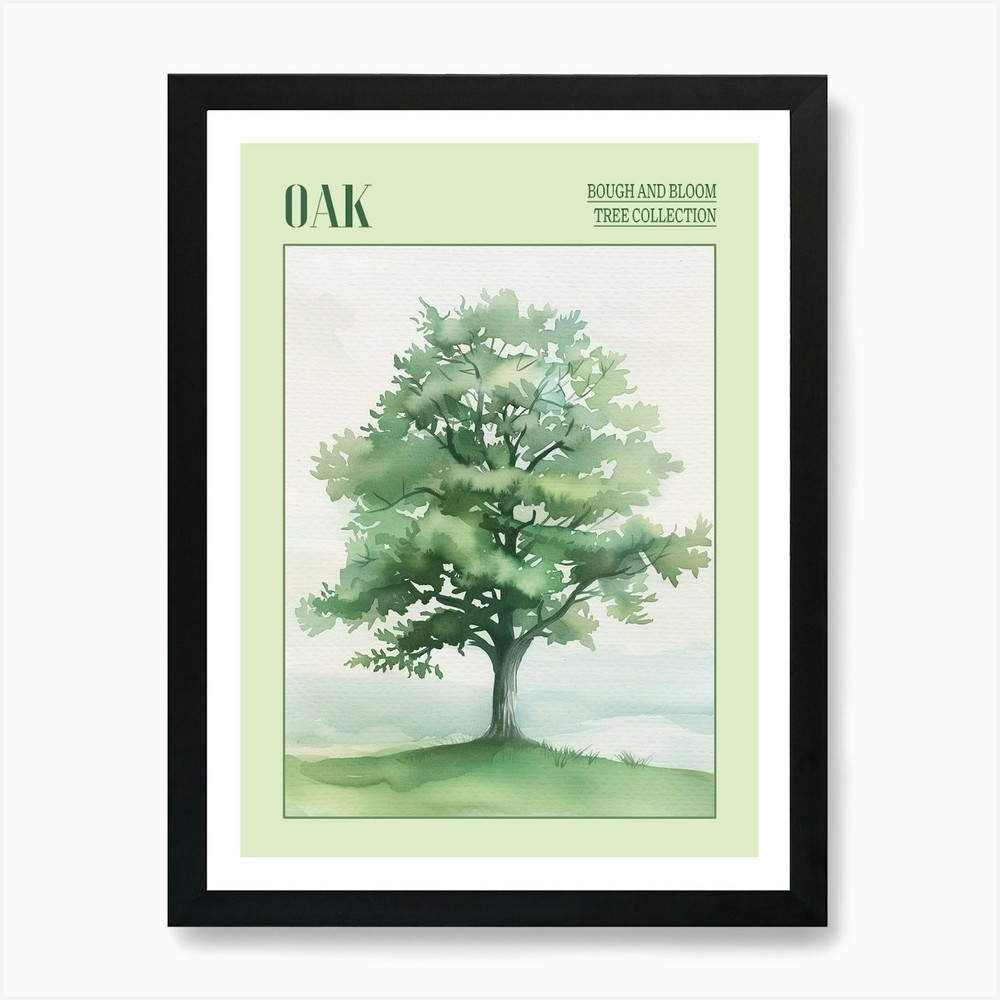 Oak Tree Watercolor Art Framed Canvas Wall Decor Print  