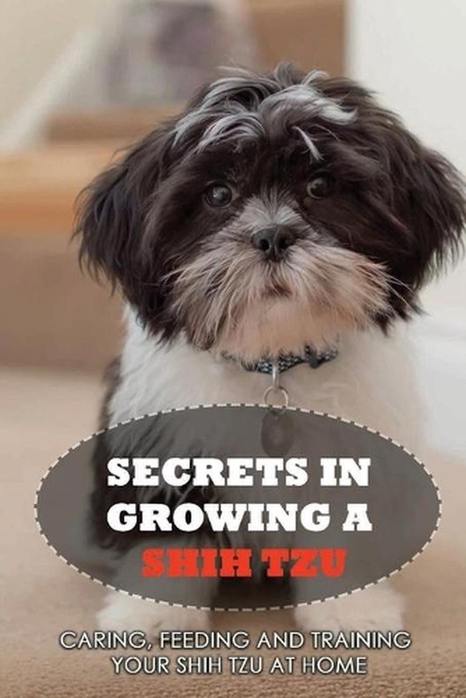 Secrets In Growing A Shih Tzu: Caring, Feeding And Training Your Shih Tzu At Hom