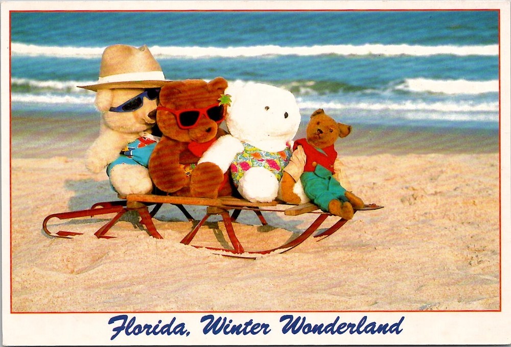 Winter Wonderland Florida Vintage Postcard Spc18