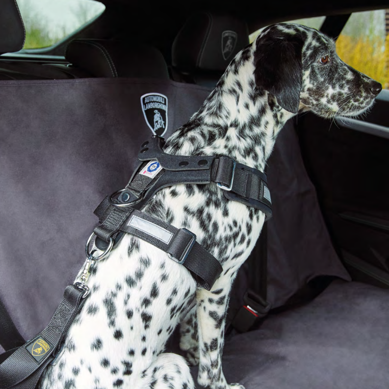 OEM Lamborghini Urus Rear Seat Pet Protective Cover