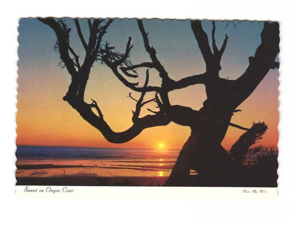 Sunset on Oregon Coast vintage postcard unposted