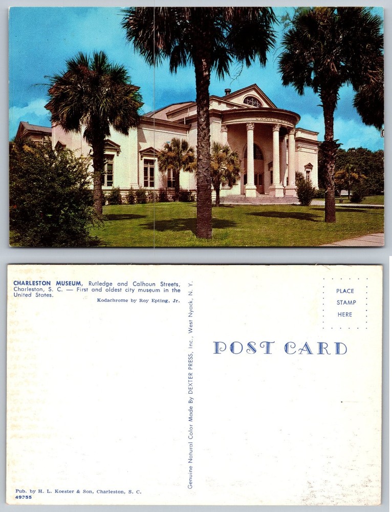 Charleston Museum SC Vintage Postcard Dexter Press Kodachrome Palm Trees