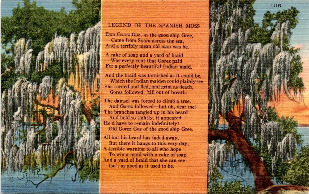 Don Gorez Goz, Spain, Indian maid, ship Gree, Indian maiden, tree, Postcard