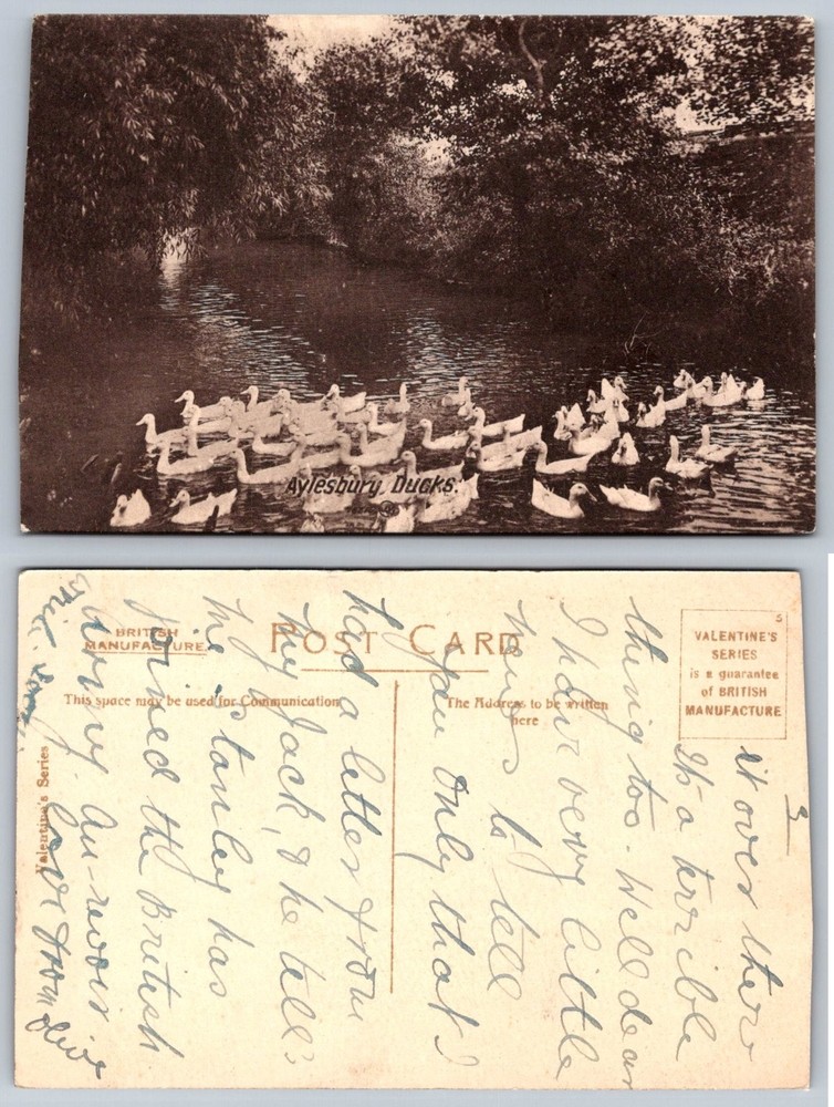 Aylesbury Ducks Real Photo Postcard RPPC Valentine's Series UK C.1910s