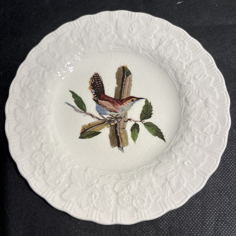 Vtg Alfred Meakin England Birds Of America 6” Plate