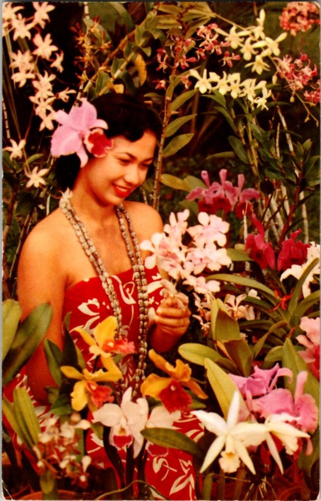 Pre-1980 Risque PRETTY HAWAIIAN GIRL state of Hawaii m/14 BJ6287