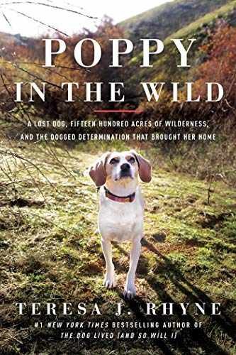 Poppy in the Wild: A Lost Dog, - Hardcover, by Rhyne Teresa J. - Very Good