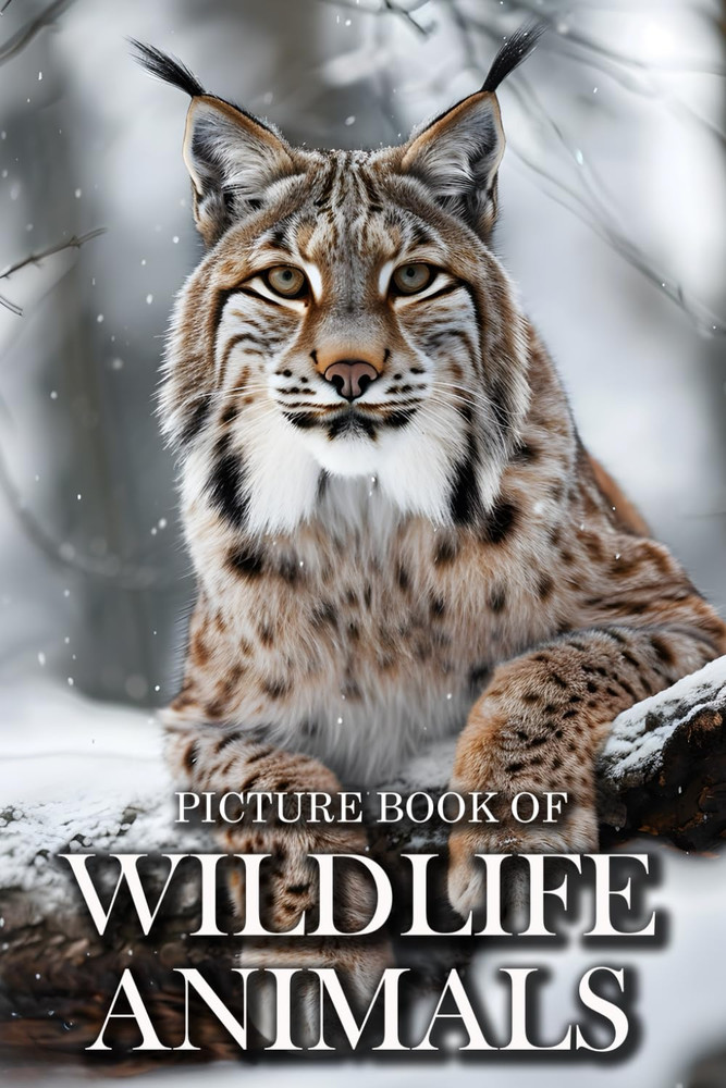 Wildlife Animals: Picture Books for Adults with Dementia and Alzheimers Patients