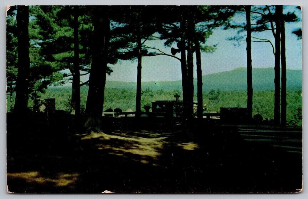 Rindge New Hampshire Cathedral Of Pines Scenic Landmark Chrome Postcard