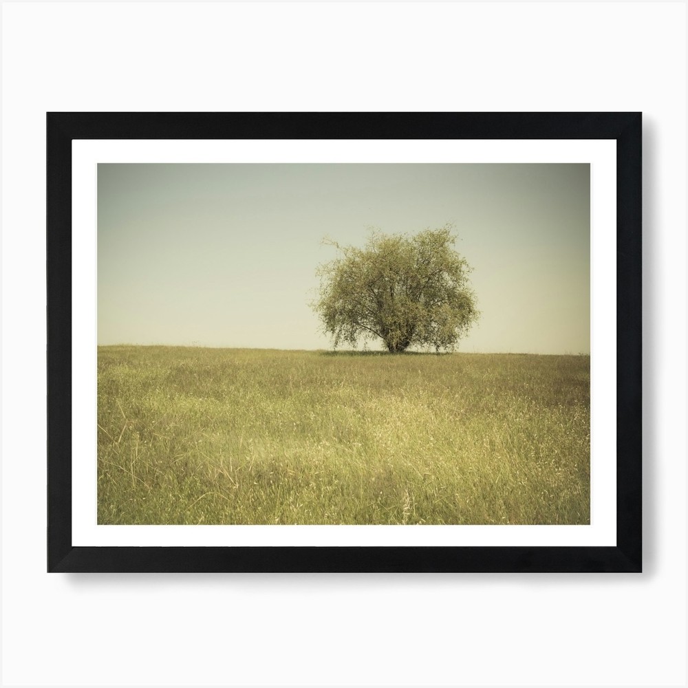 Single Tree In An Open Grassy Field Framed Wall Art Poster Canvas Print Picture