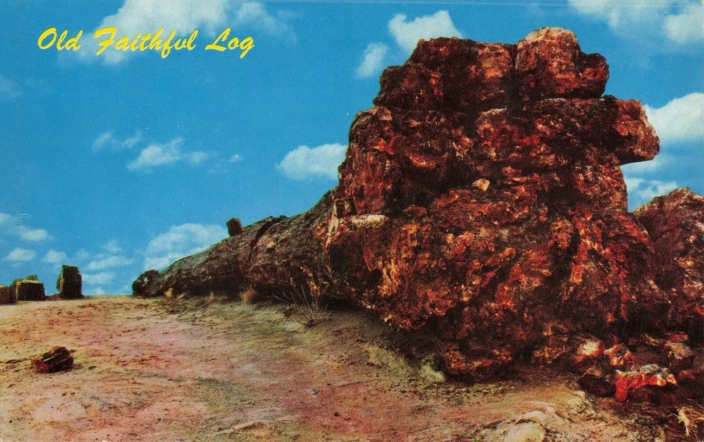 Old Faithful Log - Petrified Forest National Park - Arizona AZ - Postcard