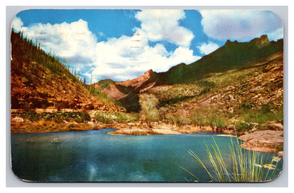 Tucson AZ Arizona Sabino Canyon Desert Meets Water Chrome Postcard Posted 1950