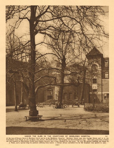 Middlesex Hospital Courtyard, Mortimer Street, Fitzrovia 1926 old print