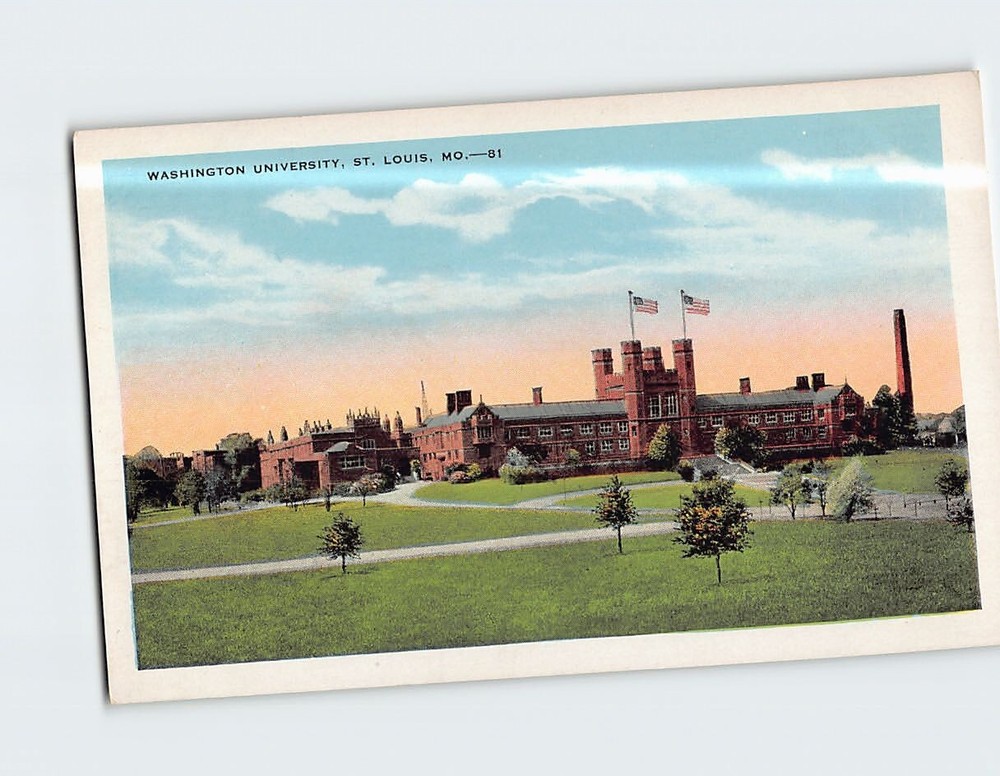 Postcard Washington University St. Louis Missouri USA