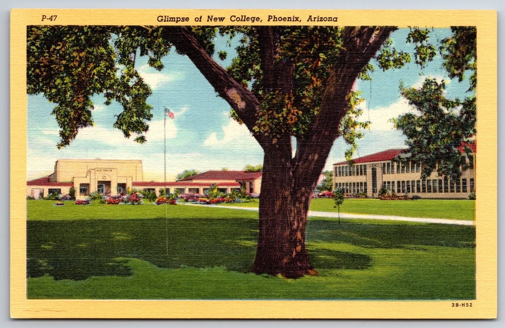 Phoenix Arizona~Glimpse Of New College Campus & Bldgs~Vintage Linen Postcard