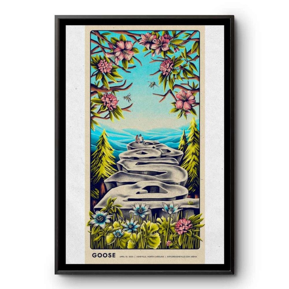 Goose April 10 2026 Asheville, North Carolina Poster