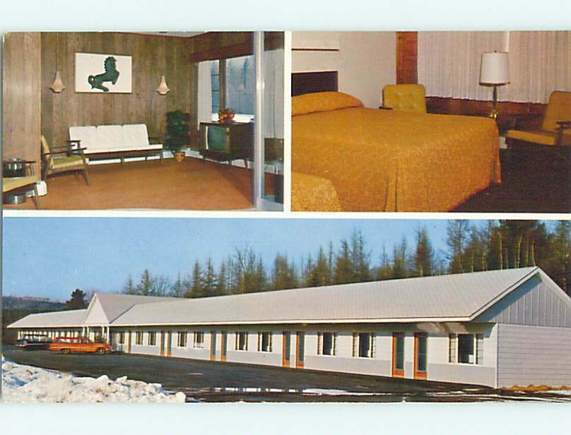Unused Pre-1980 OLD CARS & DEXTER MOTOR LODGE MOTEL Dexter Maine ME s3438