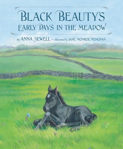 Black Beauty's Early Days in the Meadow (Classic Picture Books) by Anna Sewell,