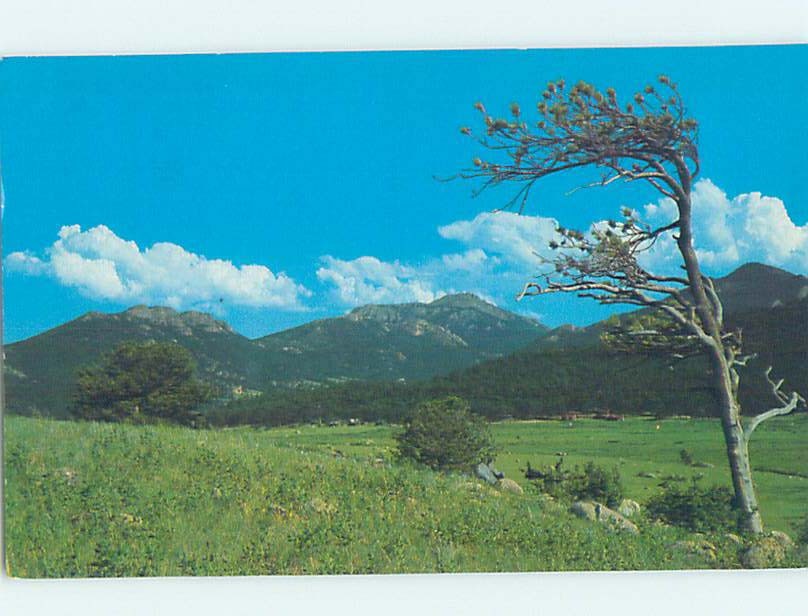 Pre-1980 NATURE SCENE Estes Park - Near Denver Colorado CO m/09 AD2873