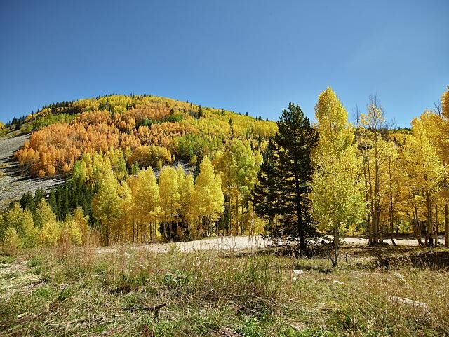 Photo:San Juan County Colorado 2015 Fall Aspen Trees Mountains Lake City