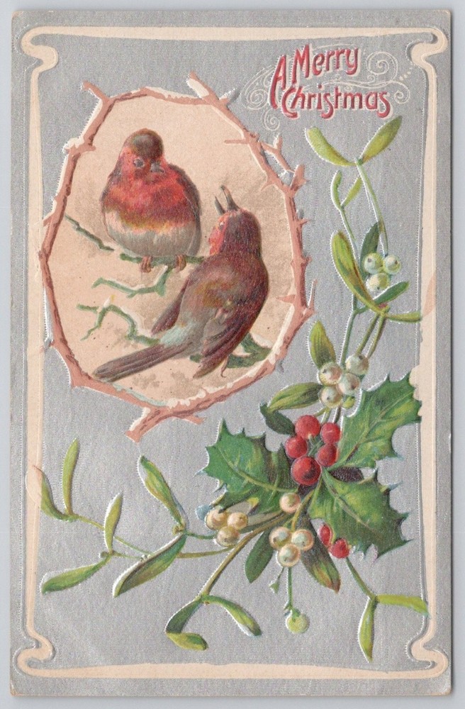Vintage Christmas Postcard Embossed Robins Holly Mistletoe German Divided Back