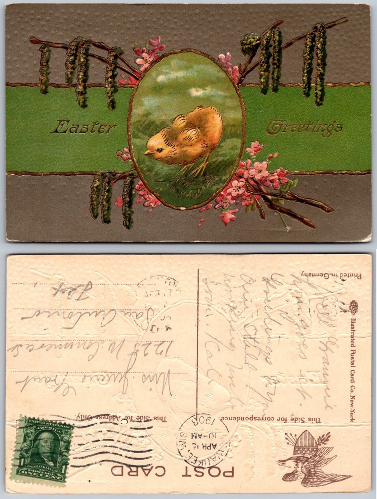 Easter Chick Greetings Postcard
