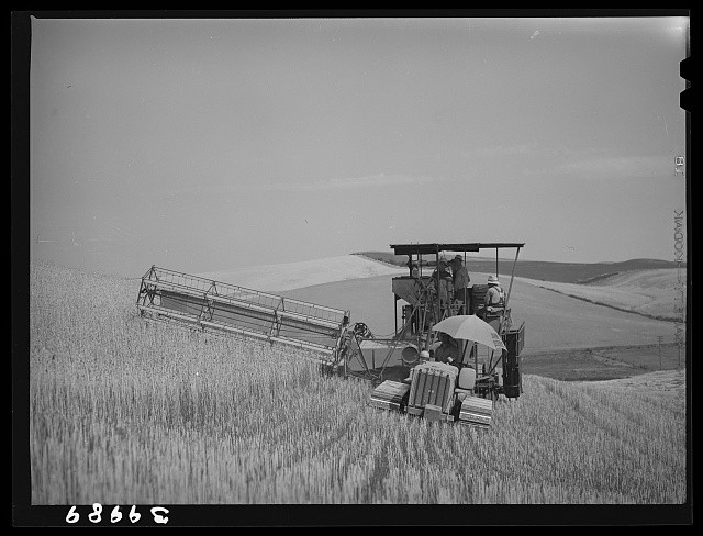 Whitman County Washington 1941 Caterpillar-Drawn Combine Wheat Harvest