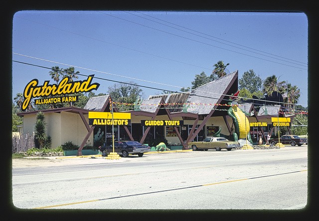 St Augustine Florida Gatorland Alligator Farm 1979 Route 1 Roadside Attraction