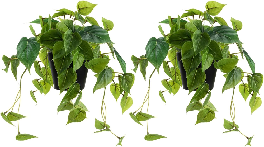 2 Pack Realistic Artificial Scindapsus Aureus Plants in Plastic Pots