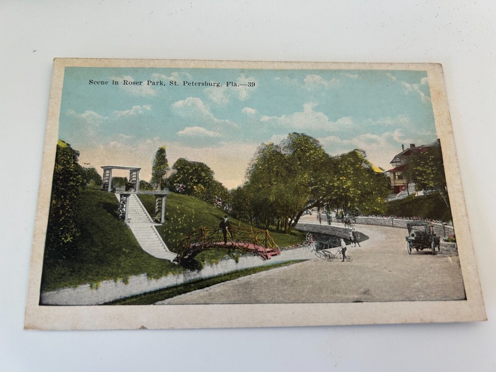 Scene in Roser Park St Petersburg Florida Postcard